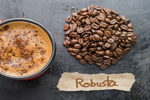Cà phê nguyên chất Robusta là gì?