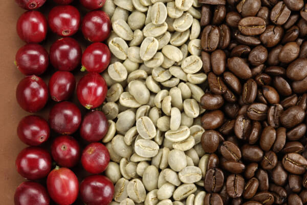 Khái quát quá trình biến đổi của hạt cà phê khi rang.